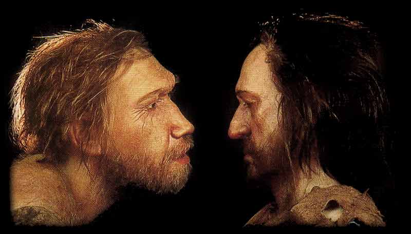 L'ADN de Néandertal révèle ses liens avec Sapiens